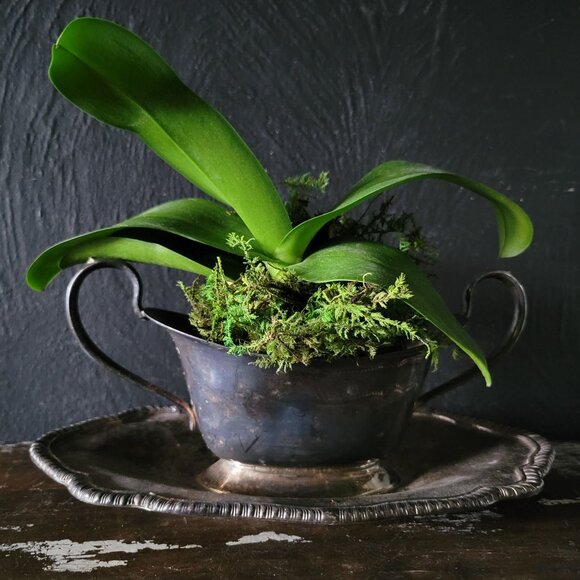 Vintage F. B. Rogers Silver Co Silverplate on Copper Double Handle Sauce Bowl - Picture 2 of 10